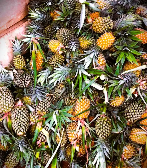 Naturika Pineapple